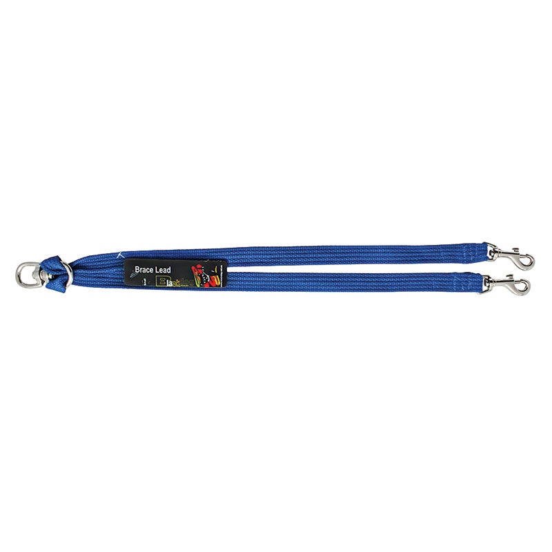Black Dog Wear Brace Lead|Regular|Small|Black|Blue|Green|Purple|Red|Orange