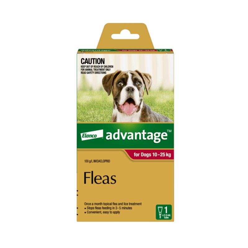 Advantage Red Large Dog (10-25kg)