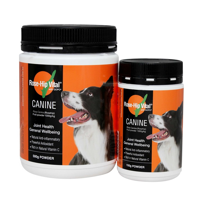 Rose-Hip Vital Canine – Joint Health & General Wellbeing for Dogs