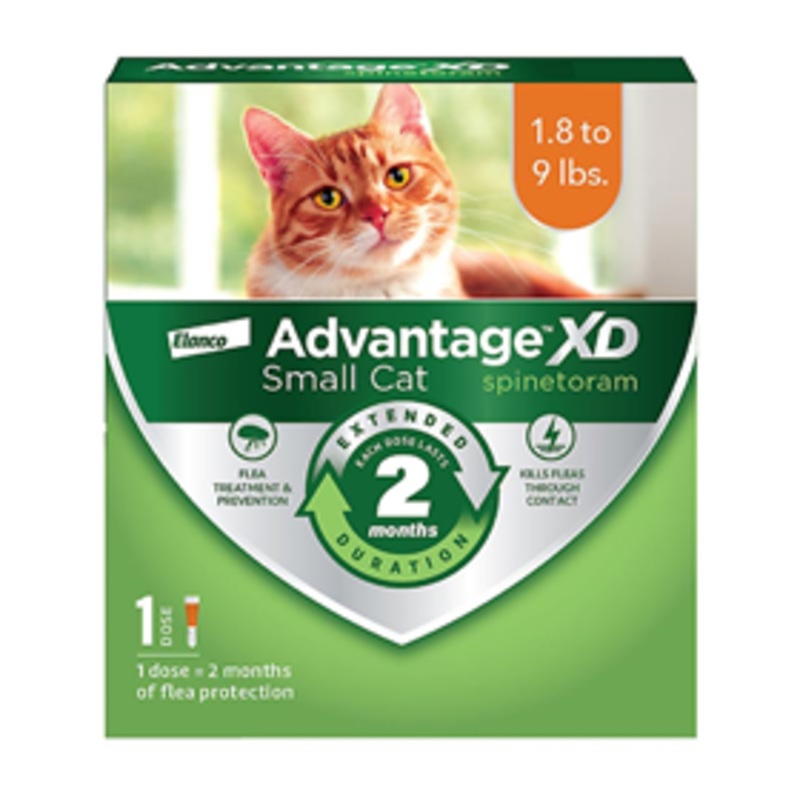 Advantage XD for Small Cats