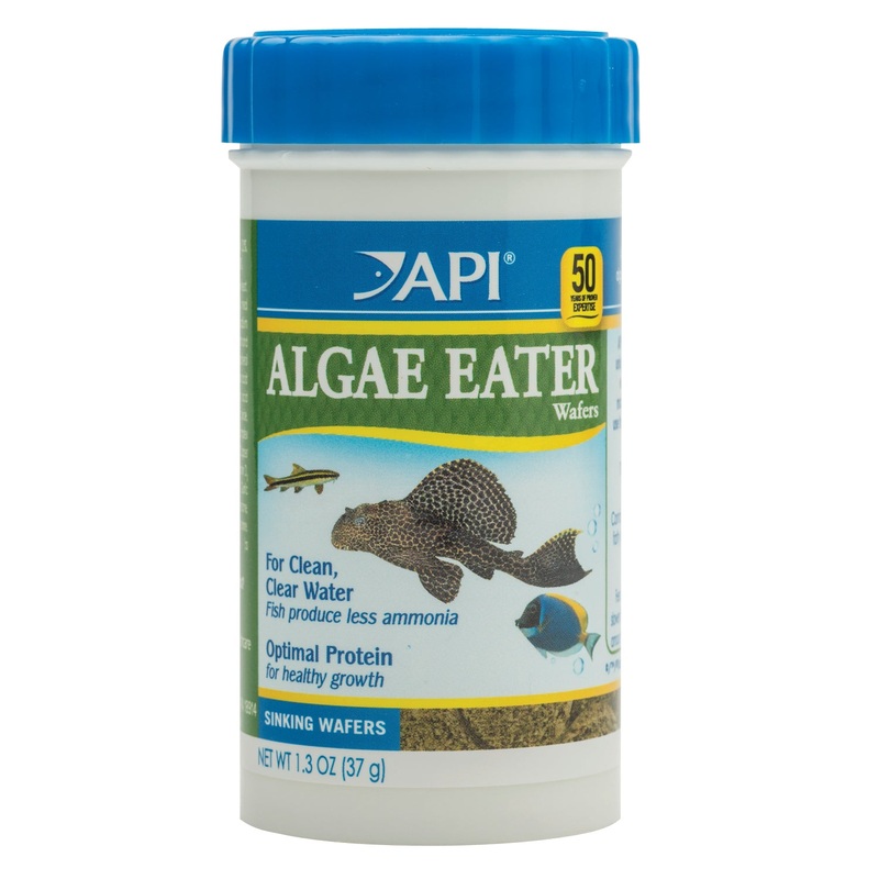 API Algae Eater Wafer|37g|105g