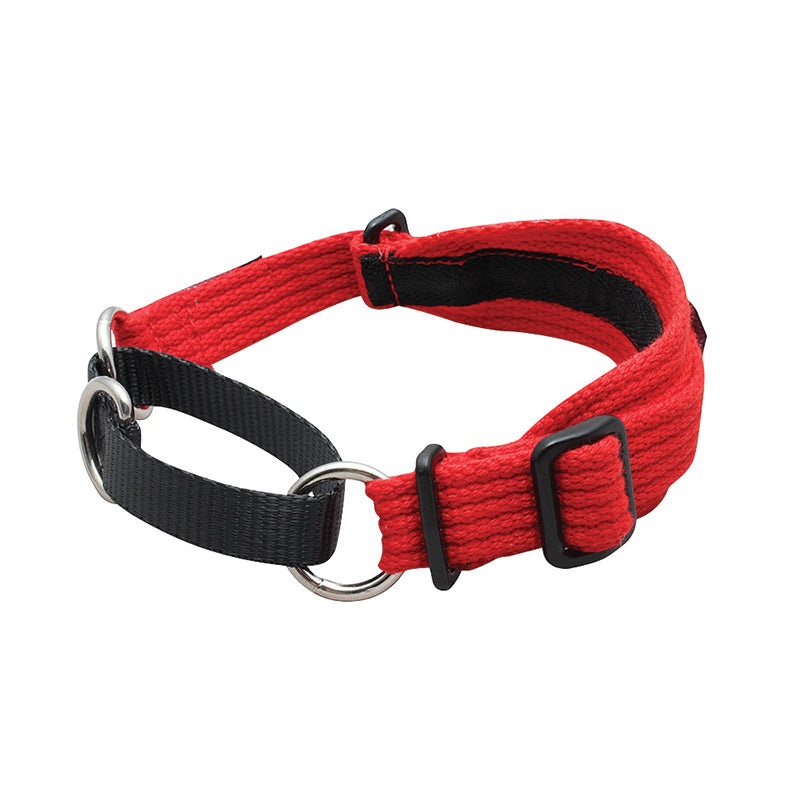 Black Dog Wear Whippet Collar|Black|Blue|Pink|Purple|Red|Orange