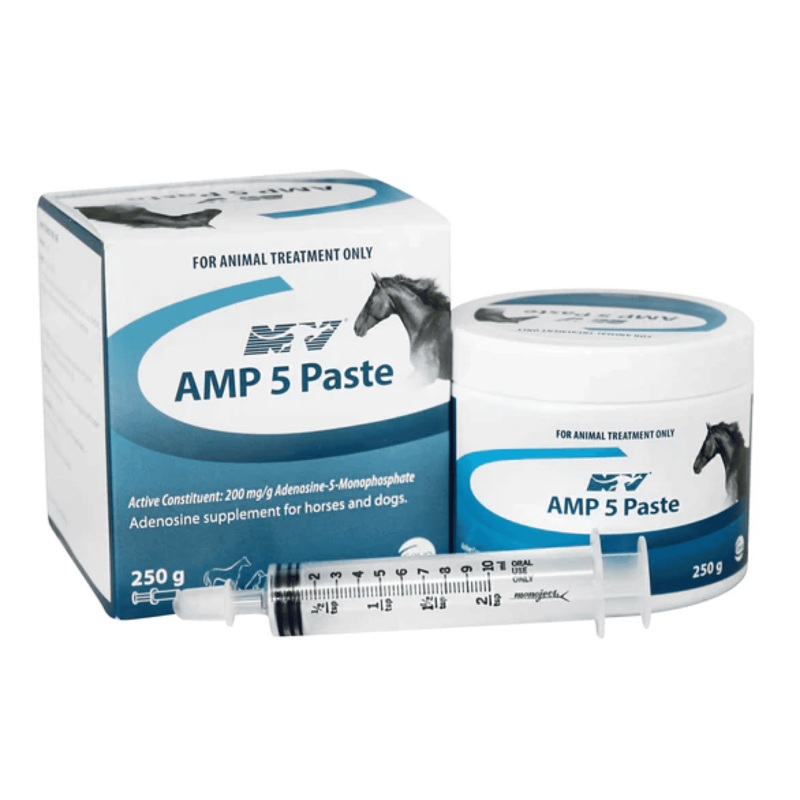 Amp5 Paste Pot|250mL