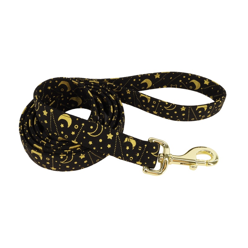 Accent Metallic Dog Leash Stars 5/8 x 6 ‘