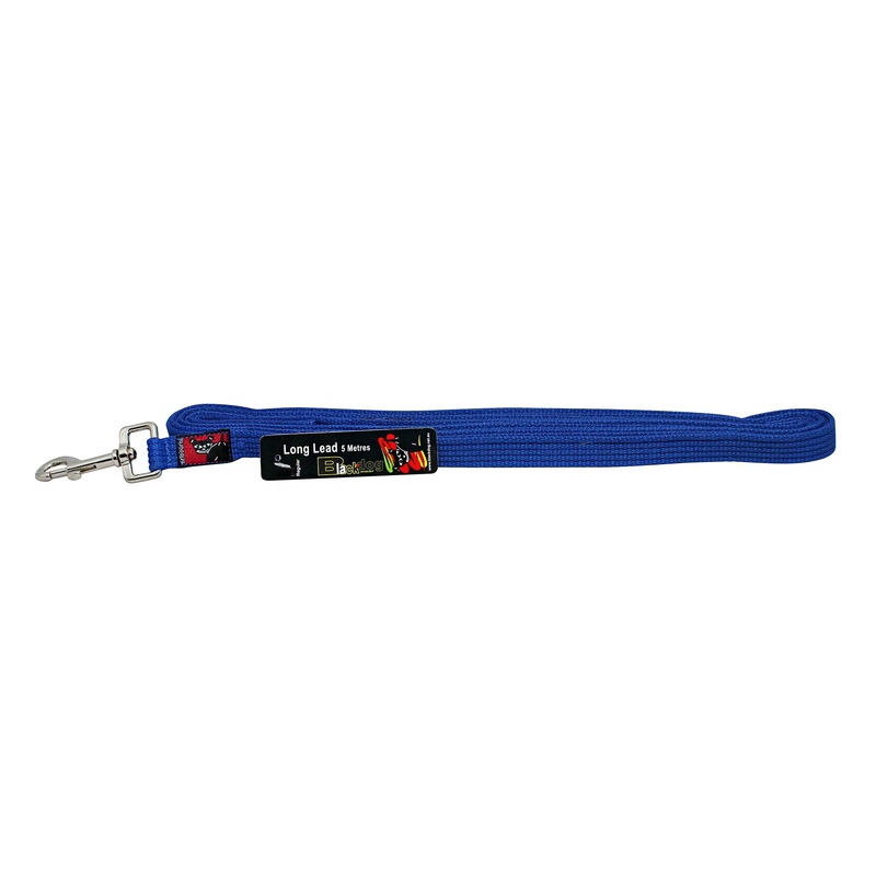 Black Dog Wear Long Lead 5m|Black|Blue|Green|Purple|Red|Orange|Pink