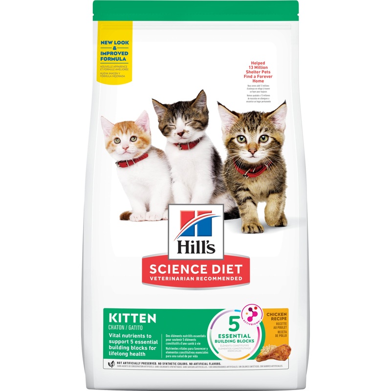 Hill’s Science Diet Kitten Dry Cat Food