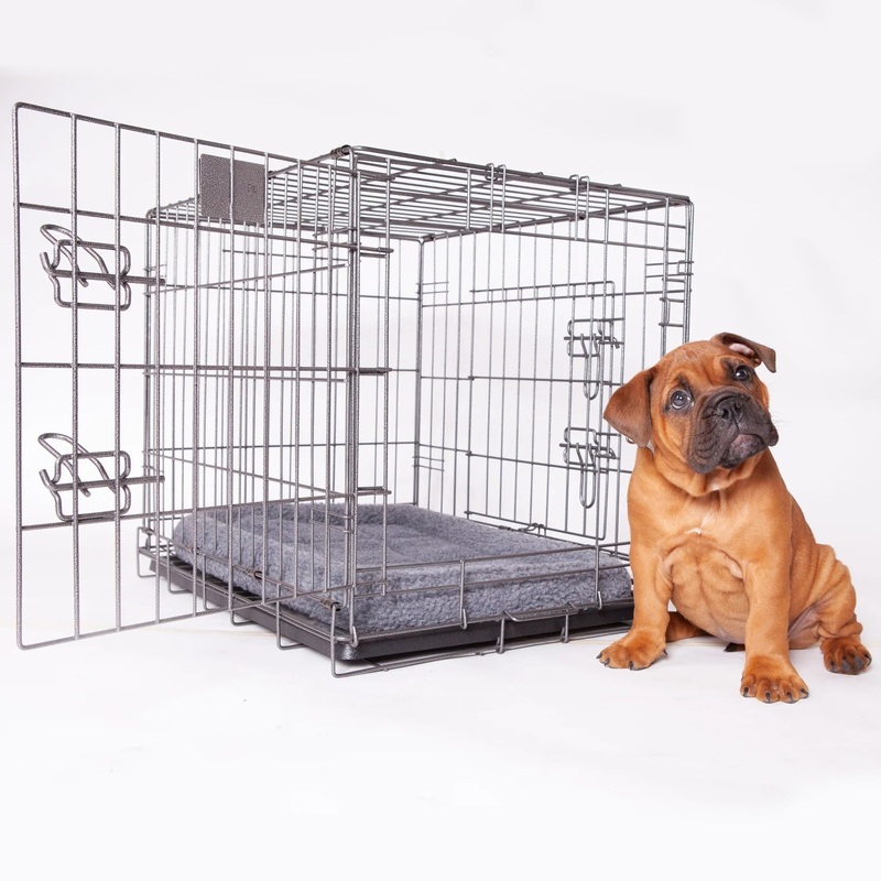 Kazoo Premium Dog Crate|Small|Medium|Large