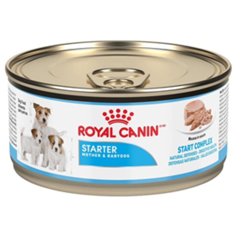 Royal Canin Starter Mousse Mother & Babydog Food 5.8 oz