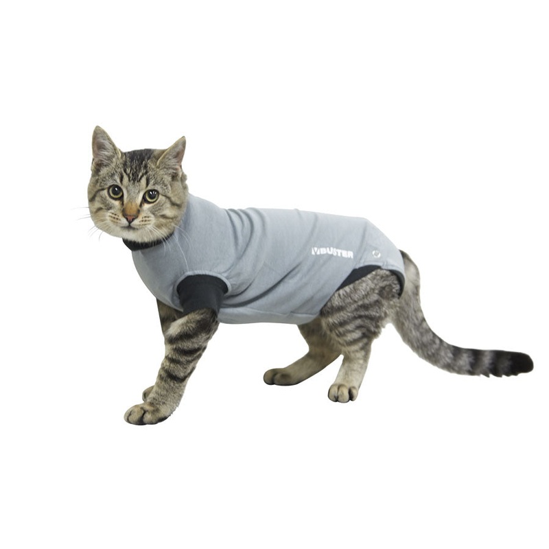 Buster Body Suit for Cats|XXXSmall|XXSmall|XSmall|Small
