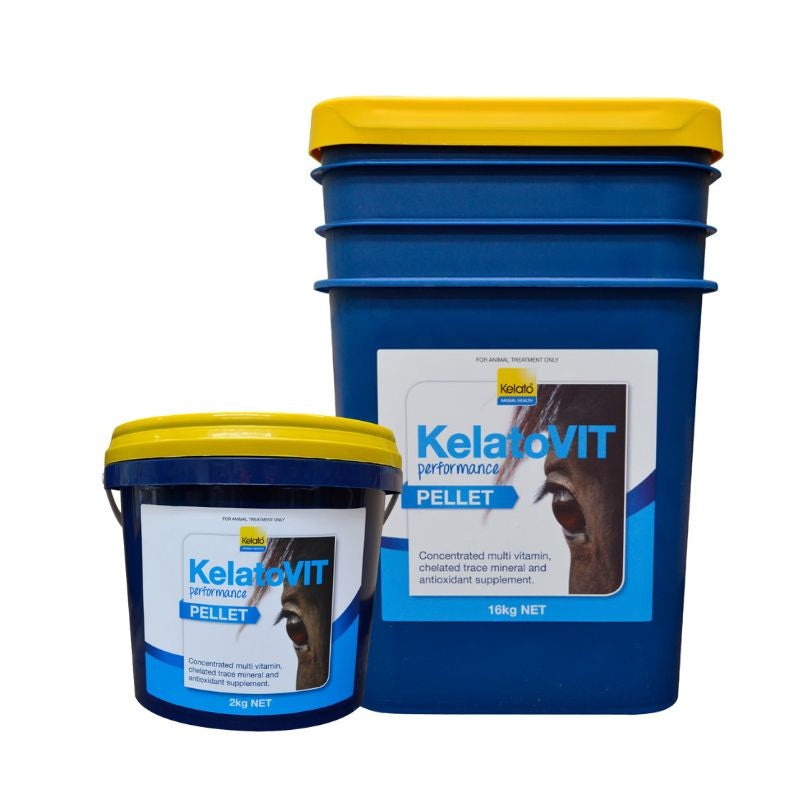 KelatoVIT Performance|2kg|16kg|Pellets