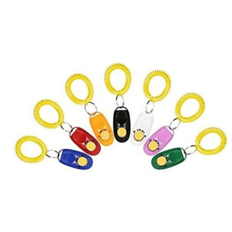 Parrot Training Clicker 13×3.5cm
