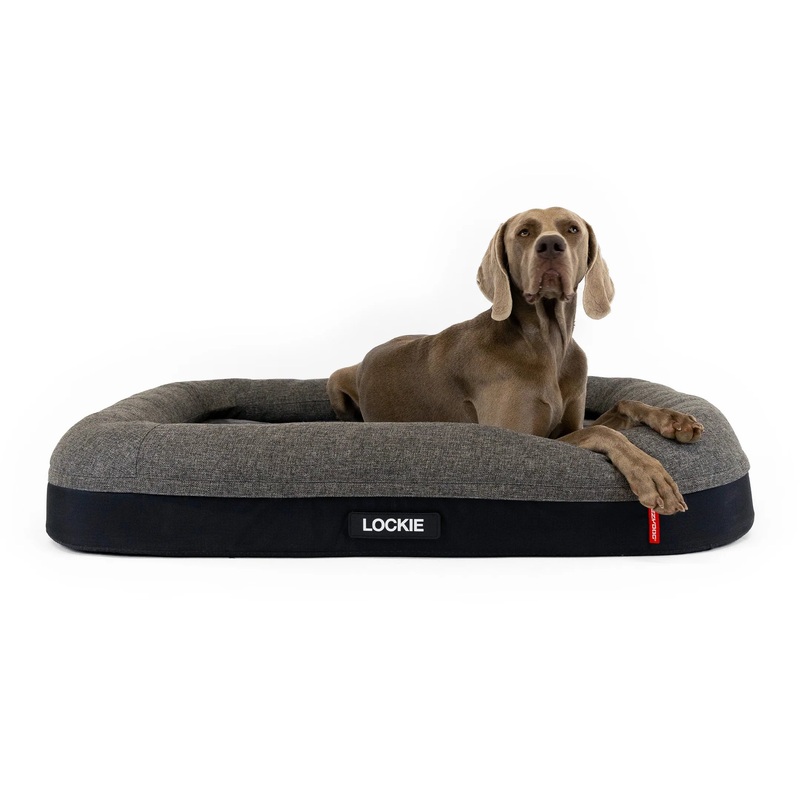 EzyDog 2 in 1 Ortho Calm Elite Dog Bed