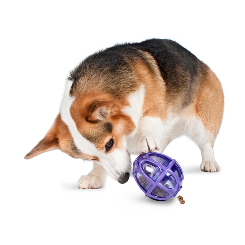 PetSafe Busy Buddy Kibble Nibble – Dog Toy – Treat and Food Dispenser – Slow feeder
