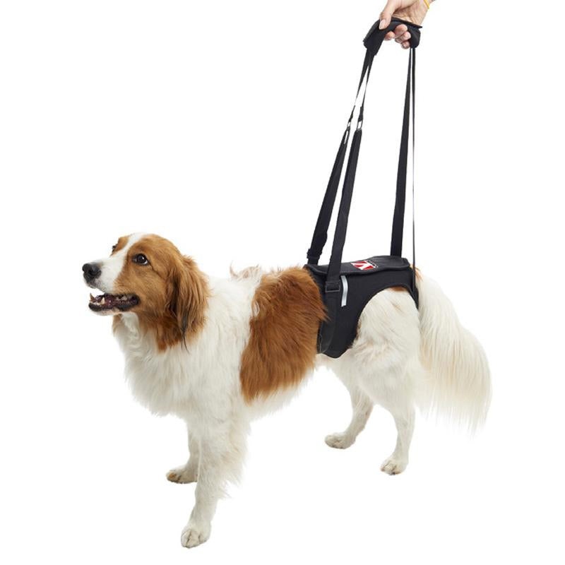 Kruuse Rehab Dog Lifting Harness – Hind Legs