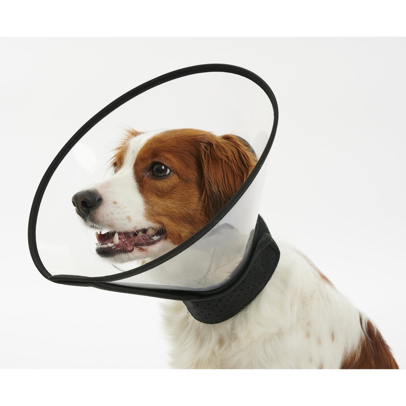 Buster Complete Elizabethan Collar