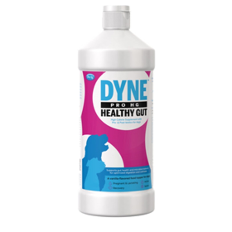 PetAg Dyne PRO HG Healthy Gut for Dogs
