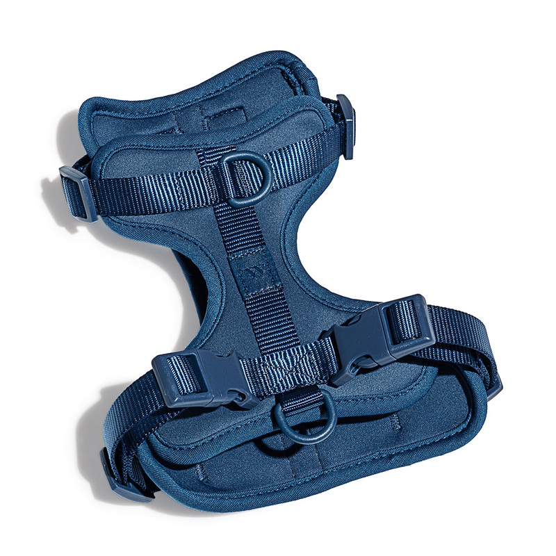 Wild One Dog Harness – Blue