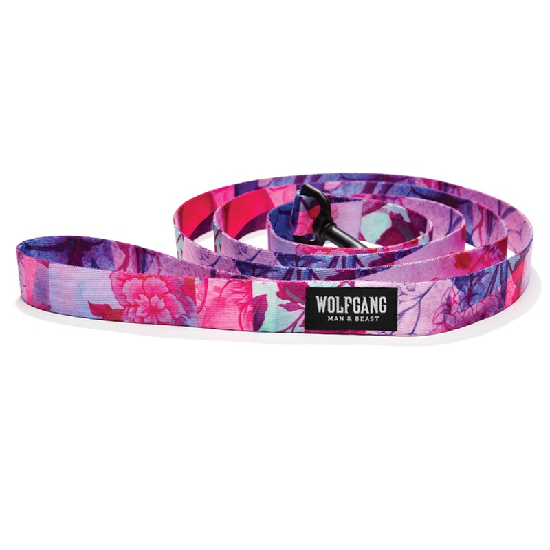 Wolfgang DayDream Dog Leash|1″ x 6′