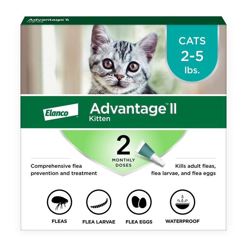Advantage II Kitten 2-Pack|2 Pack