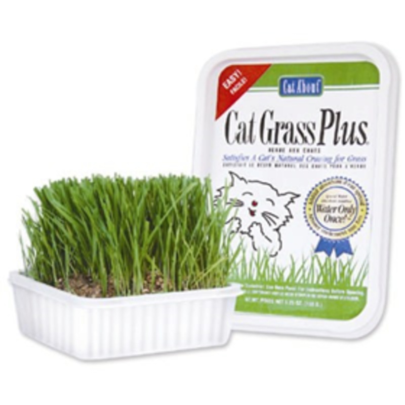 Cat Grass Plus
