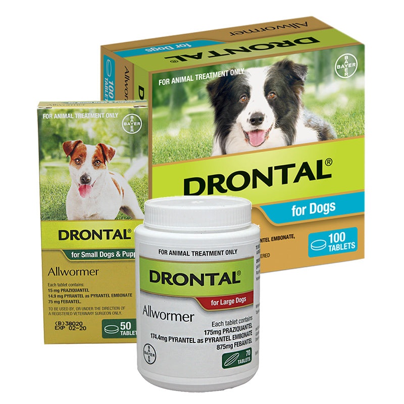 Drontal Allwormer Tablets for Dogs – Professional Pack
