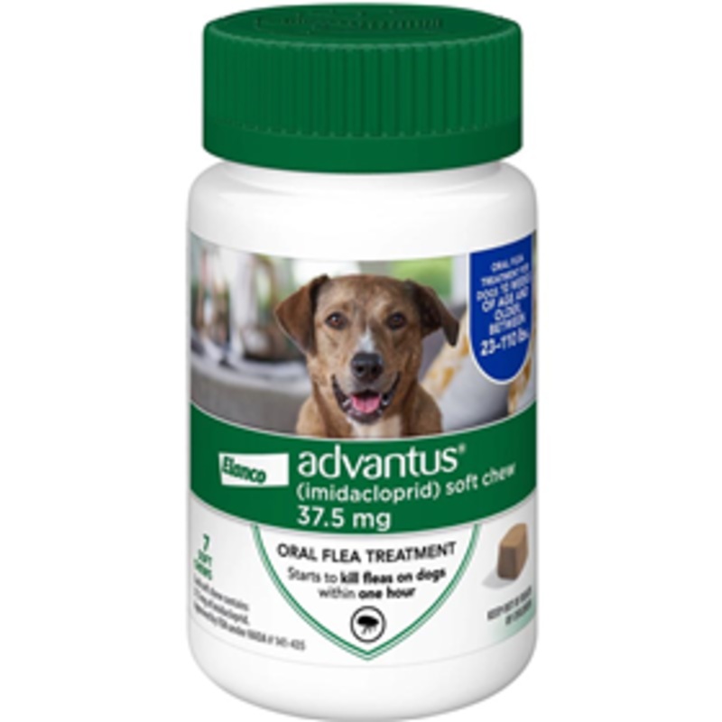 Elanco Advantus Flea Treatment Soft Chews for Large Dogs