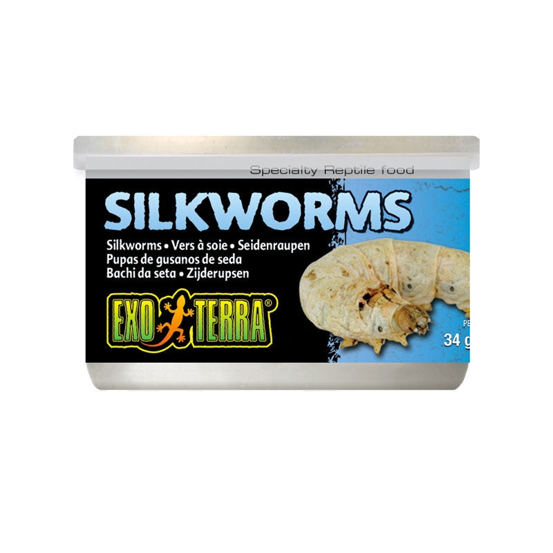 Exo Terra Silkworms 34g – Medium