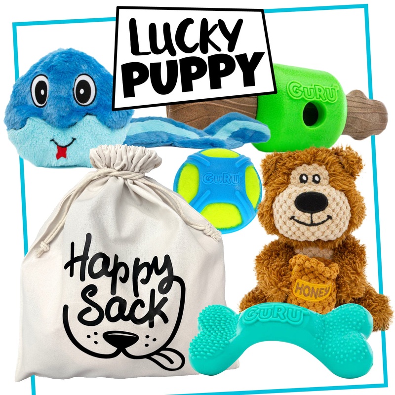 Guru Lucky Puppy Happy Sack|Green|Blue