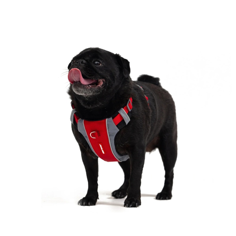 EzyDog X-Link Front Clip Dog Harness