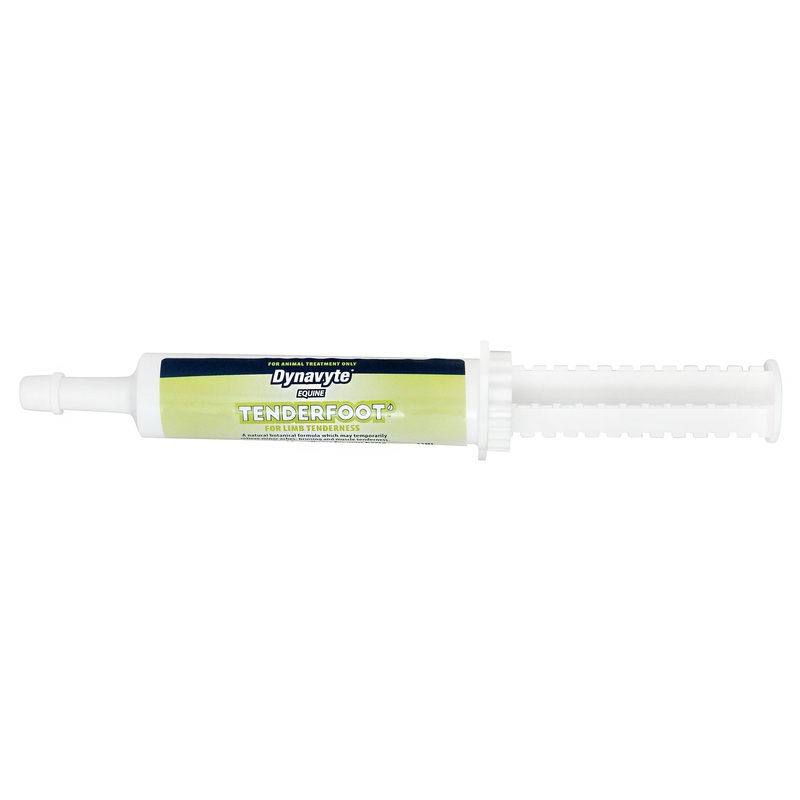 Tenderfoot 32mL for Limb Tenderness in Horses