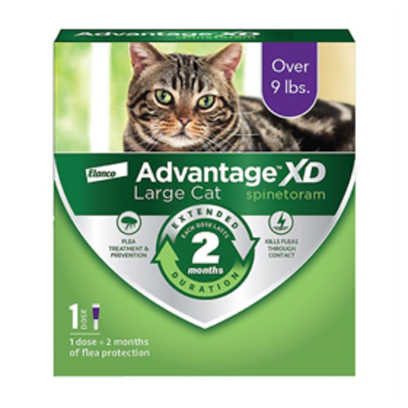 Advantage XD for Large Cats over 9 lbs.