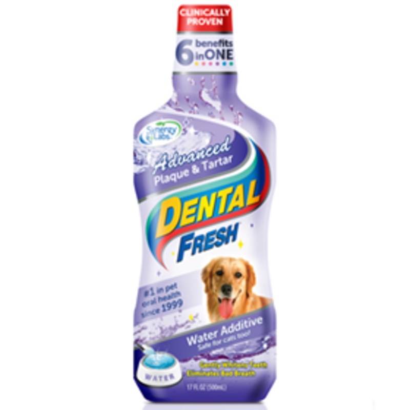 Dental Fresh Advanced Formulas Advanced Plaque and Tartar 17 oz.