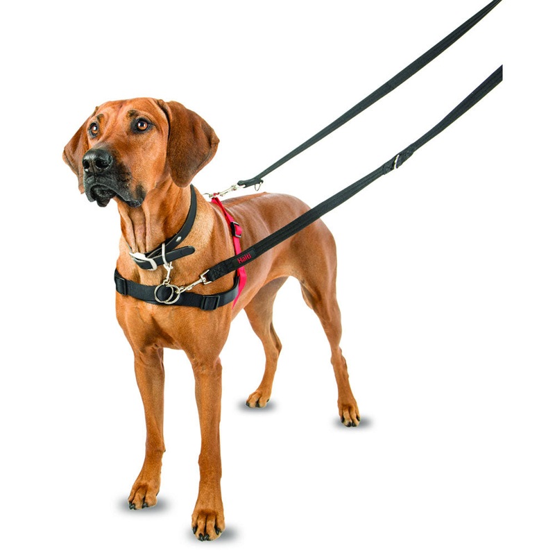 Halti Front Control Harness|Small|Medium|Large|Black/Red