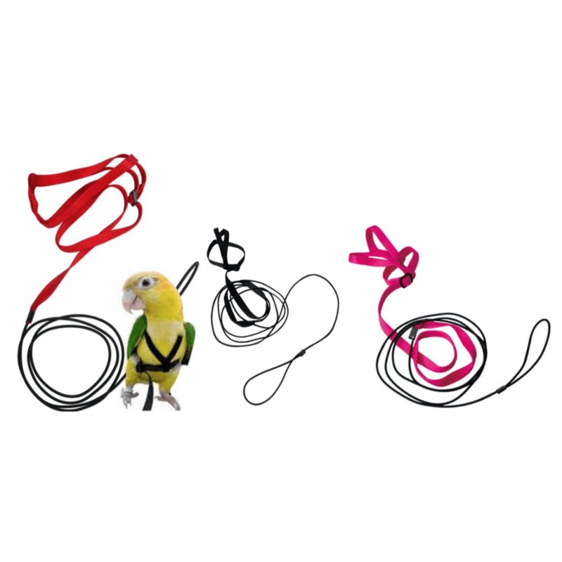 Bird Harness Petite L:185cm / H:5cm