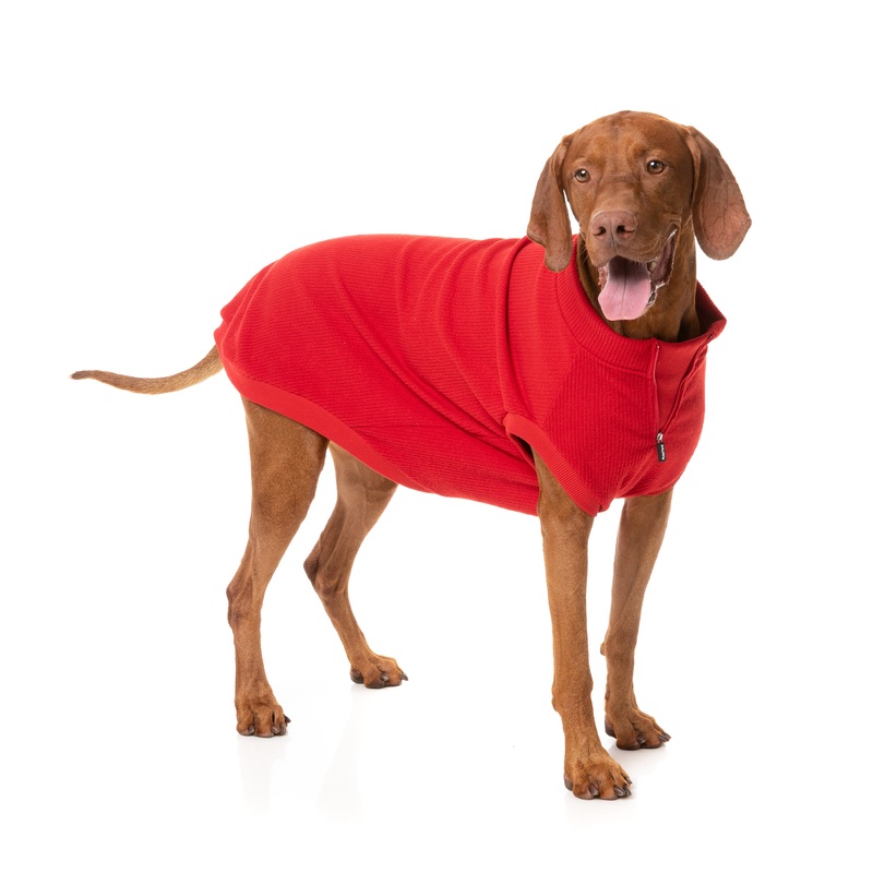 FuzzYard Cambridge Dog Sweater Red