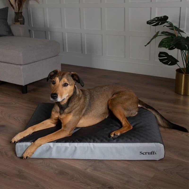 Scruffs Armourdilo Grey Orthopaedic Bed L 90x60x12cm