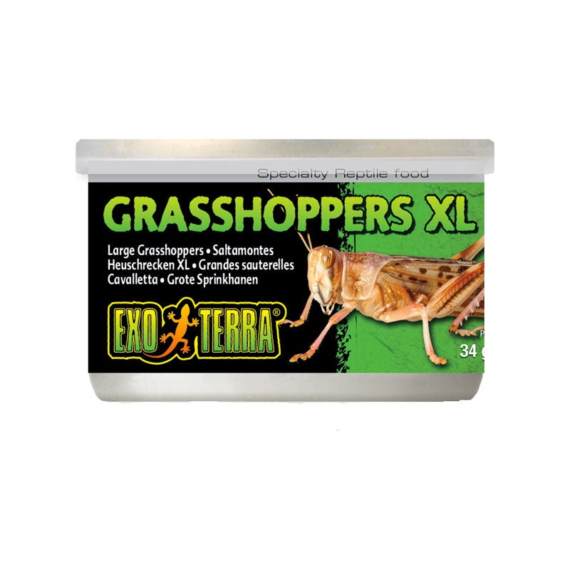 Exo Terra Grasshoppers|Small|XLarge