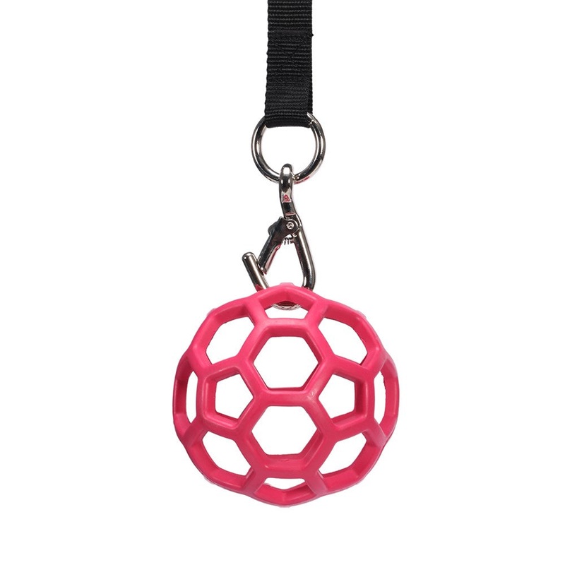 Horsemaster Stable Feed Ball|Blue|Pink