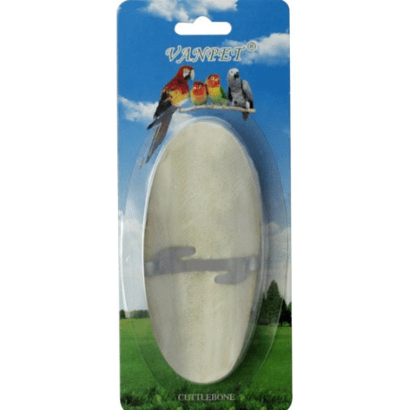Cuttlefish Bone Medium in Carton L12.5cmx5cm