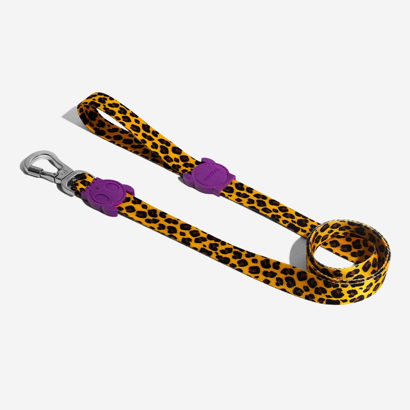 Zee Dog Honey Dog Lead|Small|Large