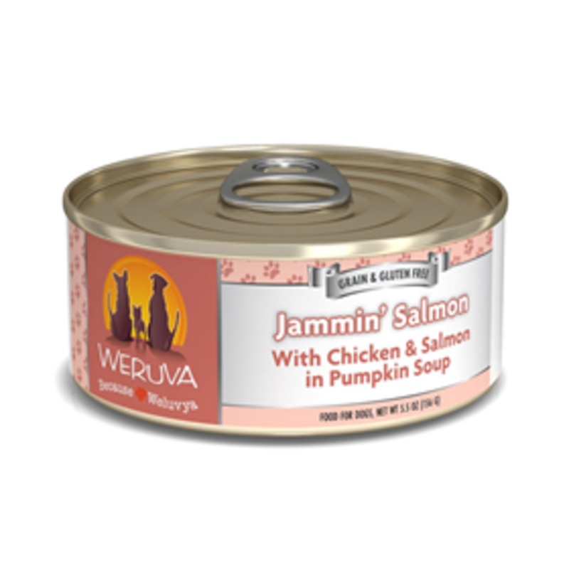 WERUVA Classic Jammin Salmon with Chicken & Salmon in Pumpkin Soup Dog Food