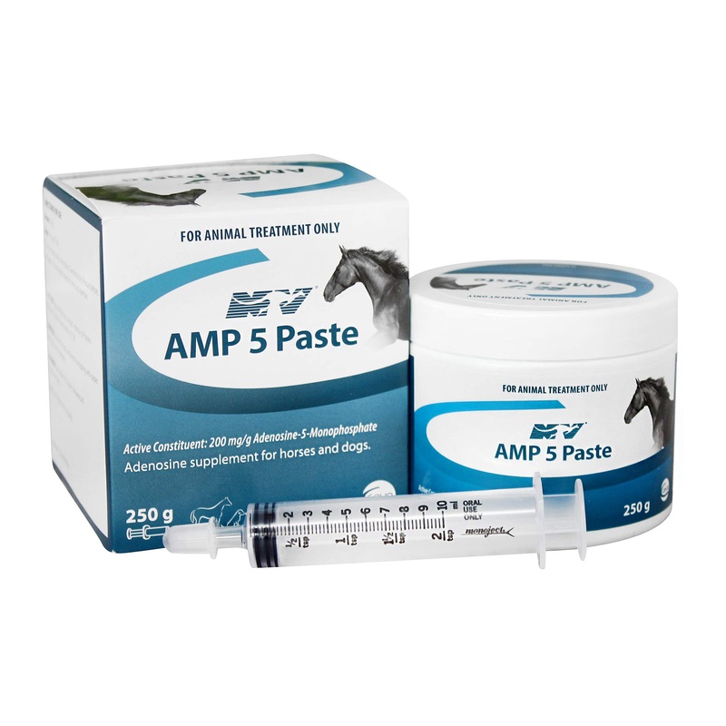 AMP-5 Paste for Horses & Dogs|250mL