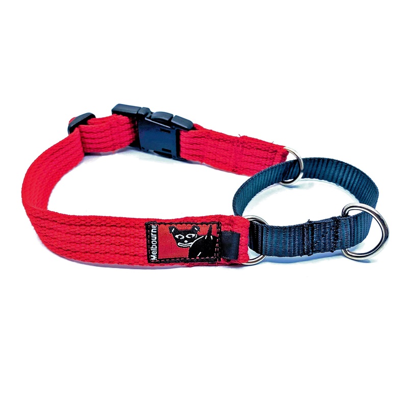 Black Dog Wear Training Collar
