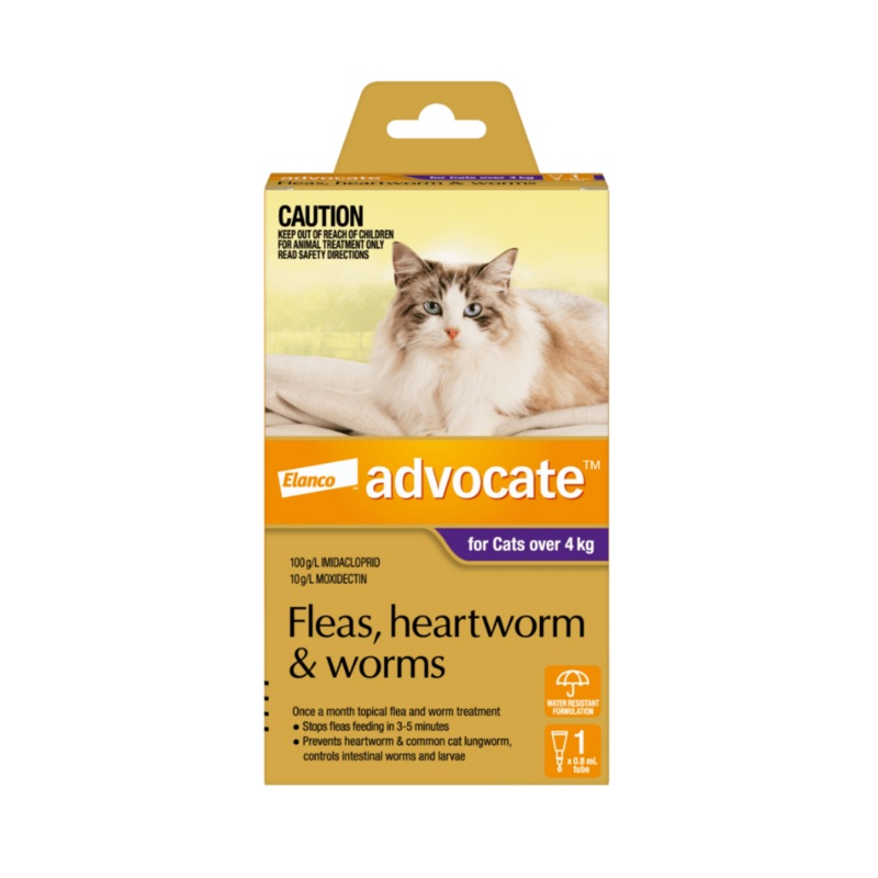 Advocate Purple for Large Cats over 4kg