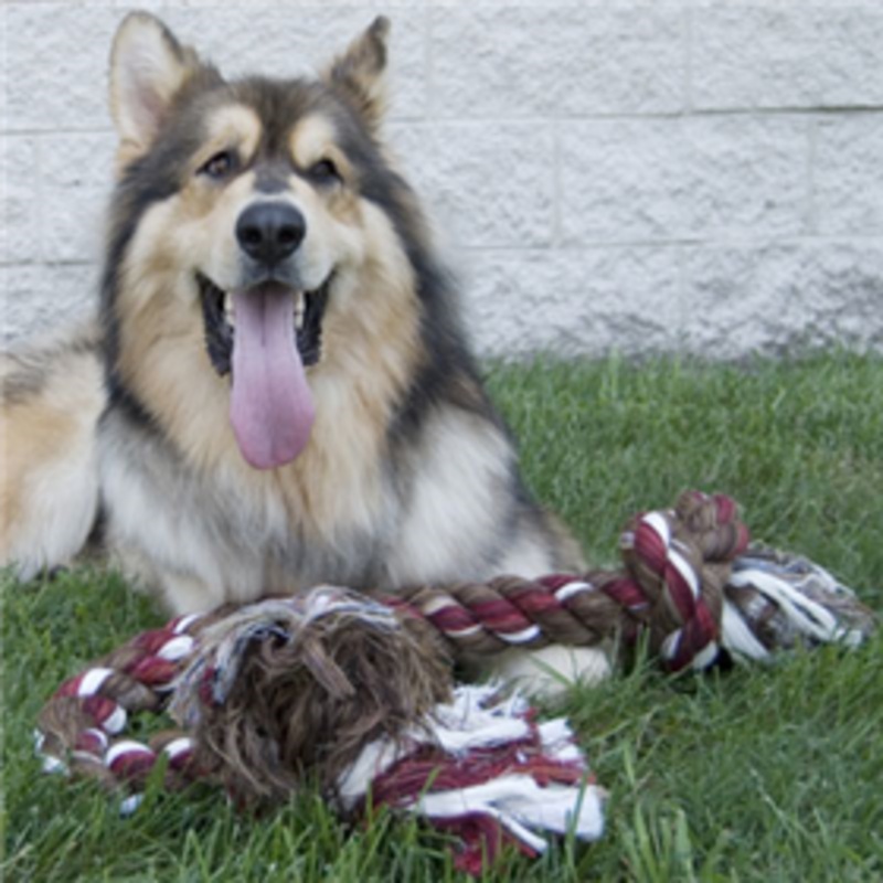 Flossy Chews 2 Knot Rope Dog Toy
