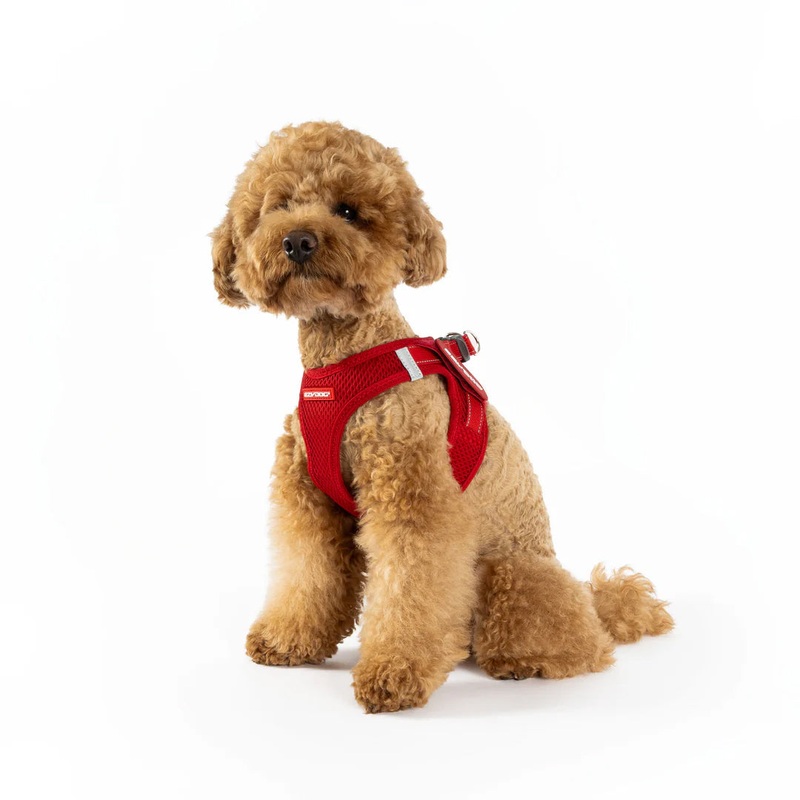 EzyDog Formfit Mesh Harness for Small Dogs