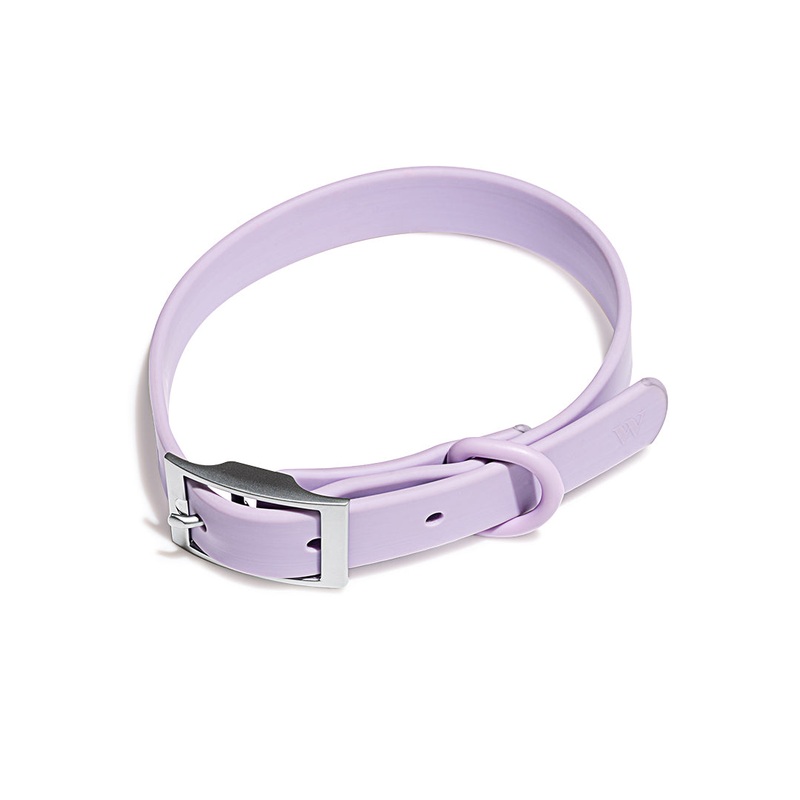 Wild One Dog Collar – Lilac