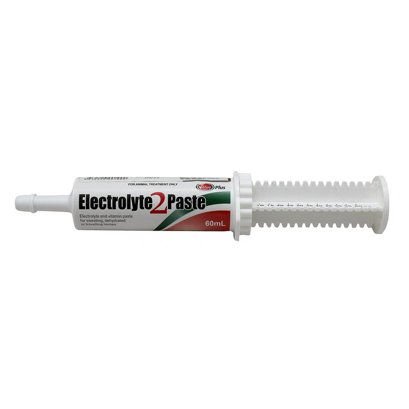 Value Plus Electrolyte 2 Paste for Horses 60mL