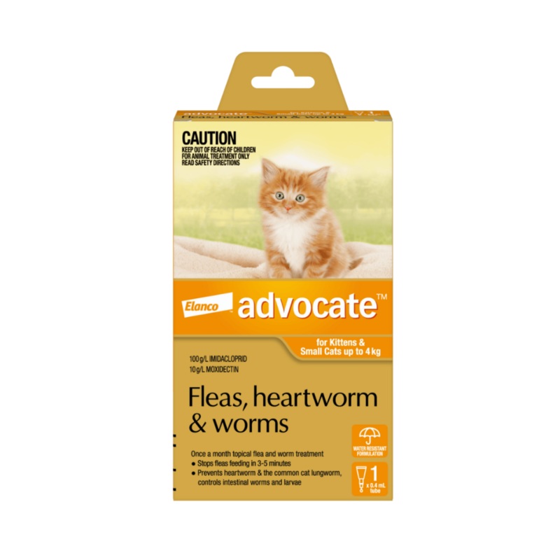 Advocate Orange for Small Cats and Kittens