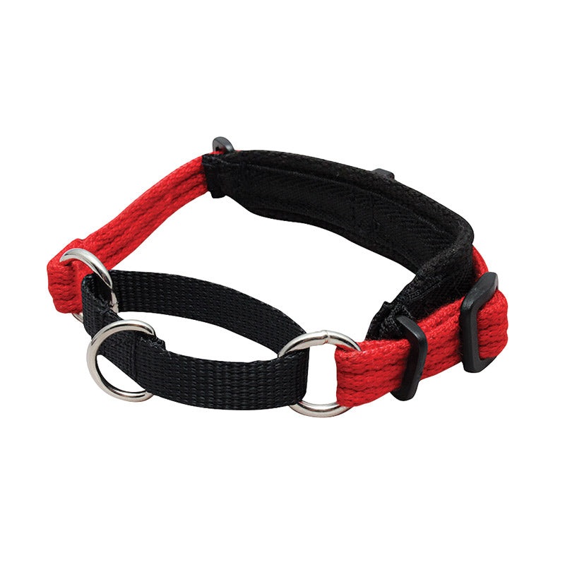 Black Dog Wear Italian Greyhound Collar